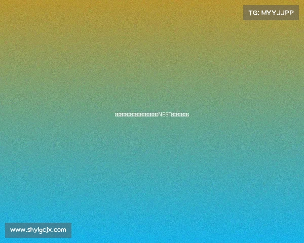 电子竞技比赛时间全国电子竞技大赛(NEST)每年举办一届